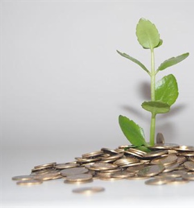The 3 keys financial institutions need  for a green future: Opinion