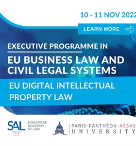 ADV: EU Digital Intellectual Property Law, SAL-Paris-Pantheon-Assas...